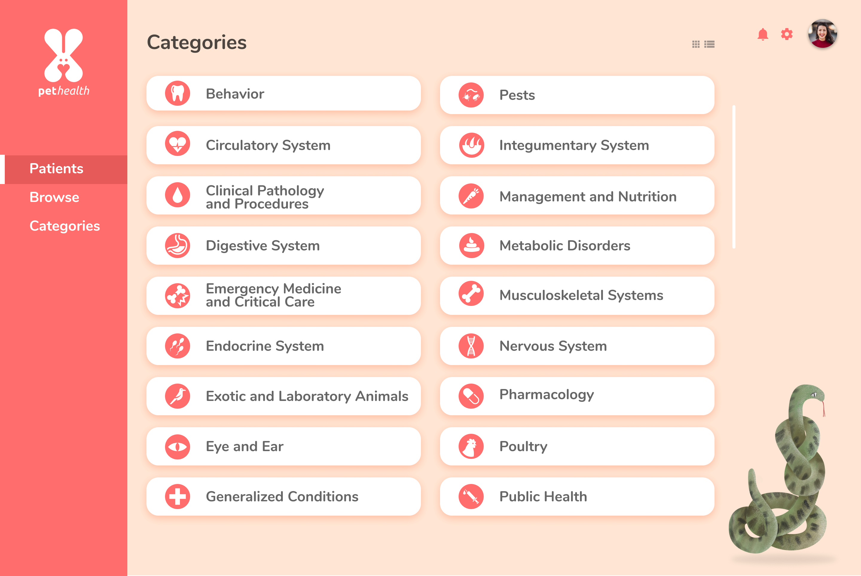 design categories